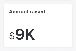 amount raised with format