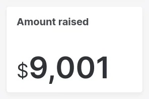 amount raised without format