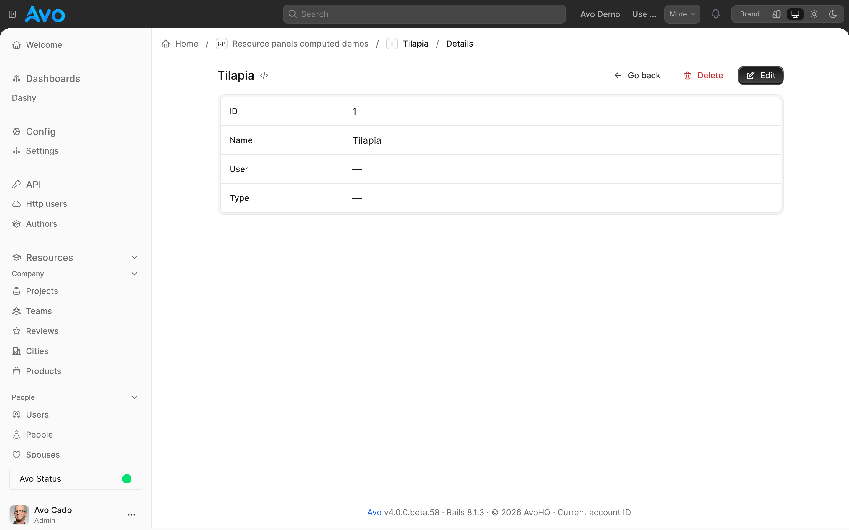 An Avo resource show page with the sidebar navigation visible and a panel in the main content area listing record fields.