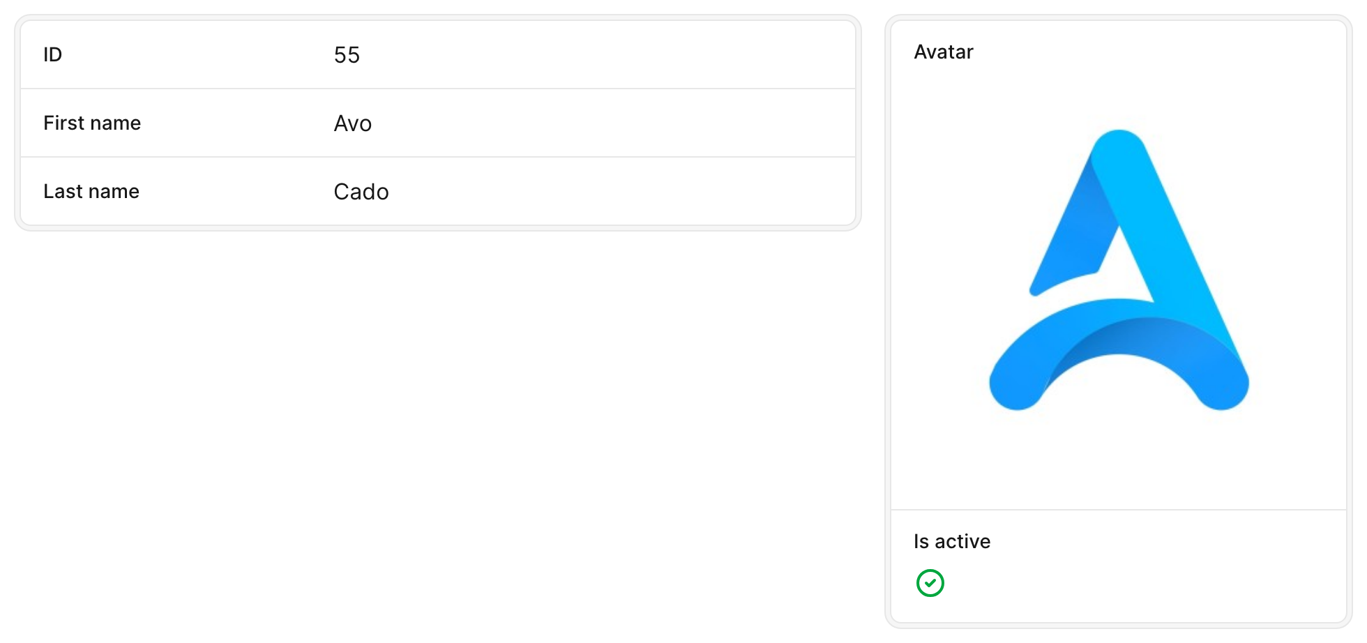 Resource Show view with a main panel on the left and a sidebar on the right holding the avatar and Is active fields